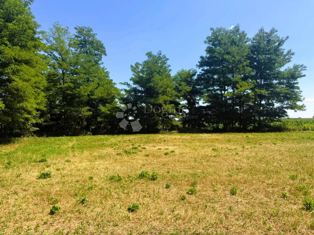 Terreno edificabile Petrijanec, 44.888m2