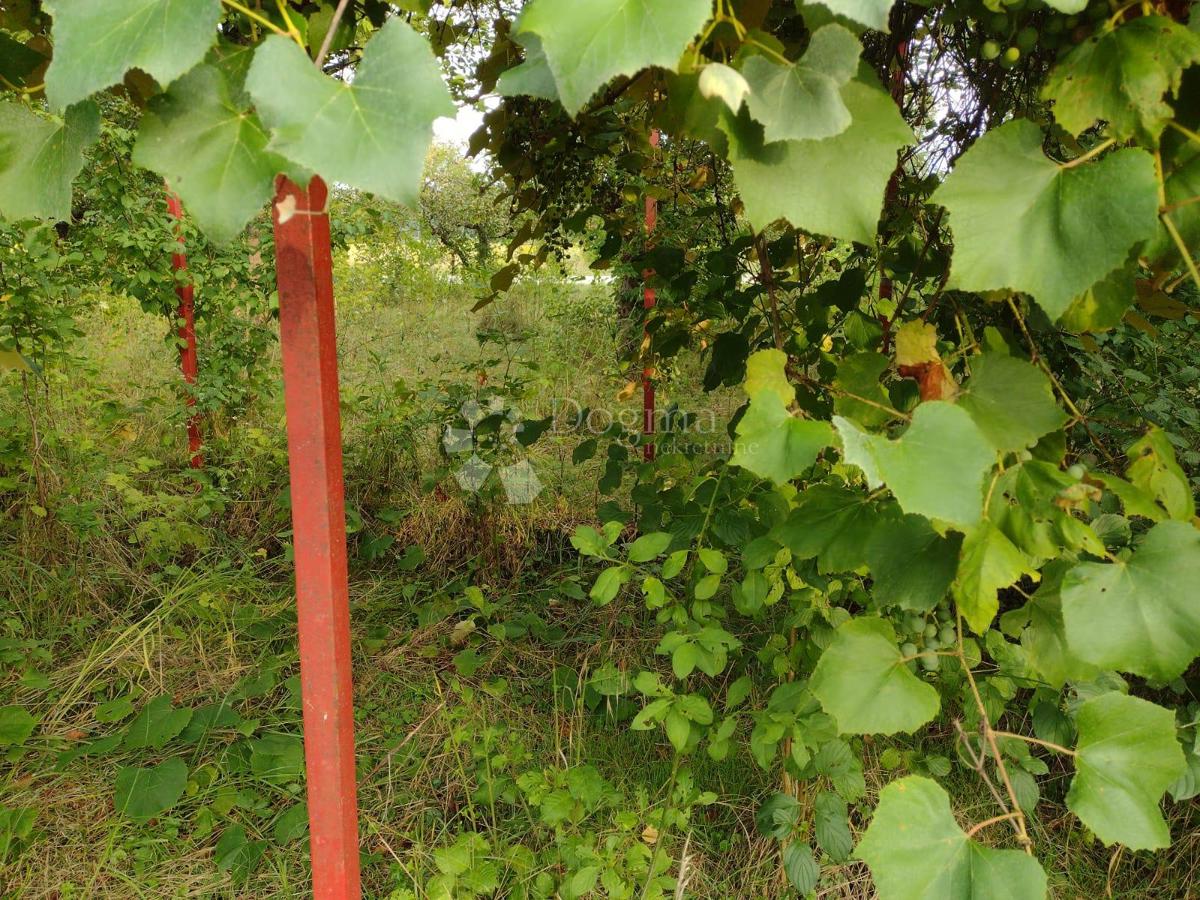 Casa Staro Selo Topusko, Topusko, 150m2