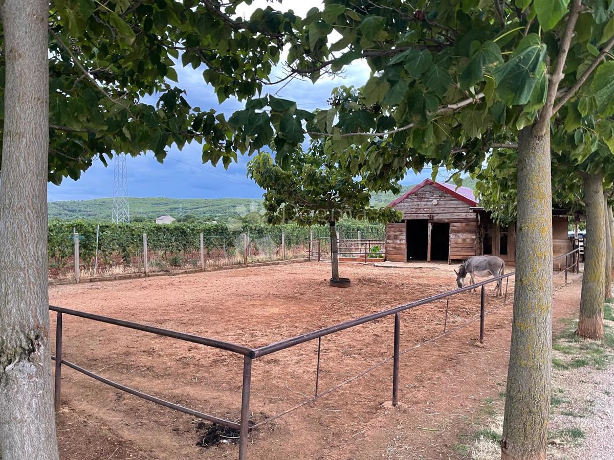 Terreno edificabile Dubrava Kod Šibenika, Šibenik - Okolica, 20.000m2