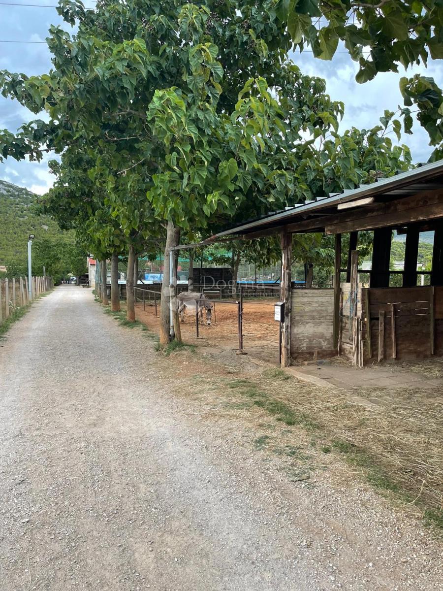 Terreno edificabile Dubrava Kod Šibenika, Šibenik - Okolica, 20.000m2