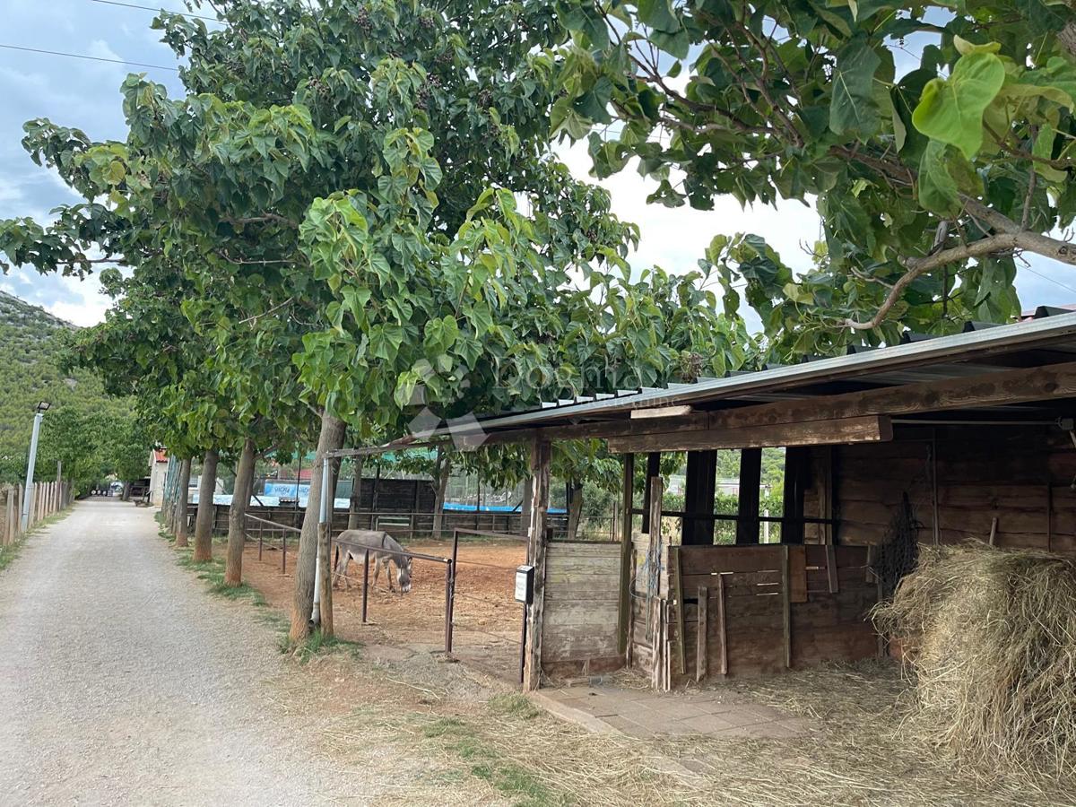 Terreno edificabile Dubrava Kod Šibenika, Šibenik - Okolica, 20.000m2