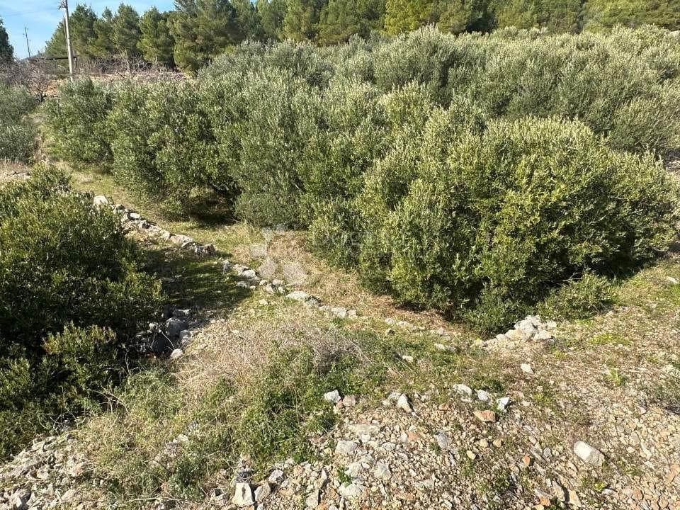 Terreno edificabile Pitve, Jelsa, 2.100m2