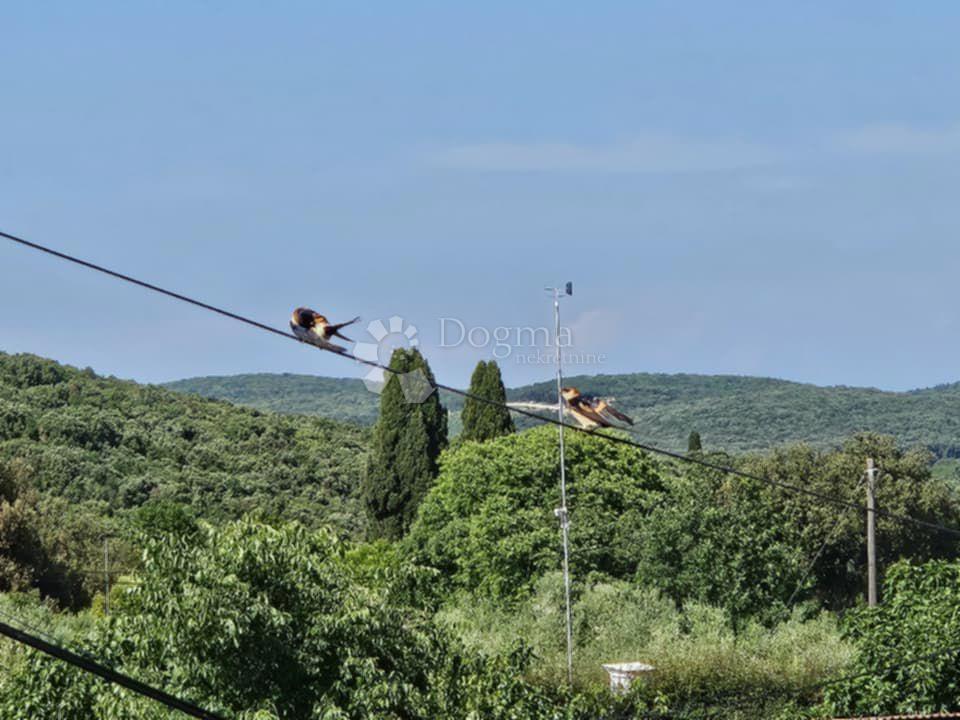 Rovigno -BORIK- 400 m dalla spiaggia