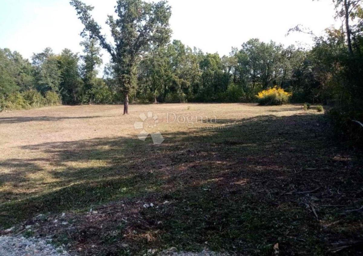 Terreno agricolo Funtana, 2.663m2