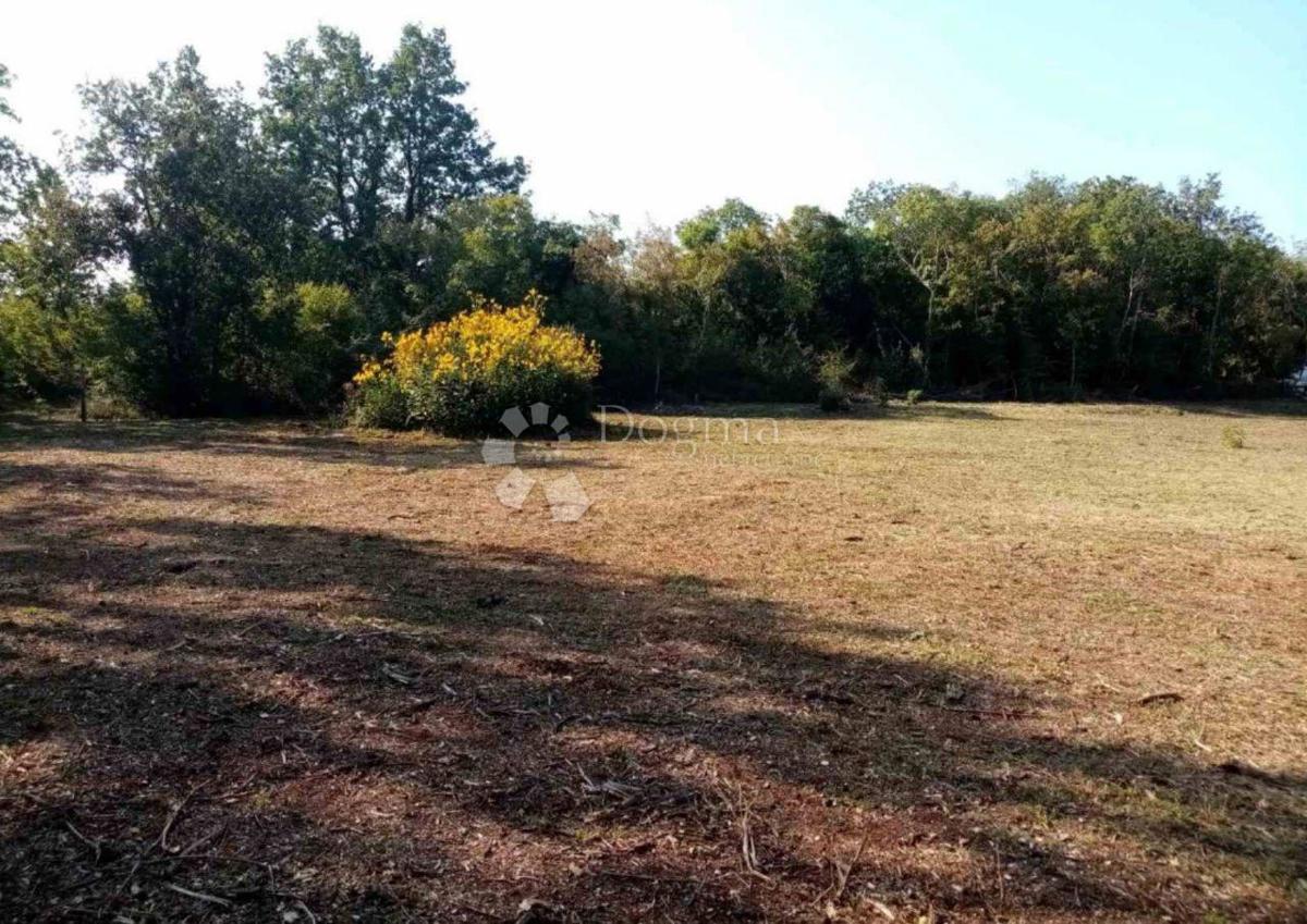 Terreno agricolo Funtana, 2.663m2