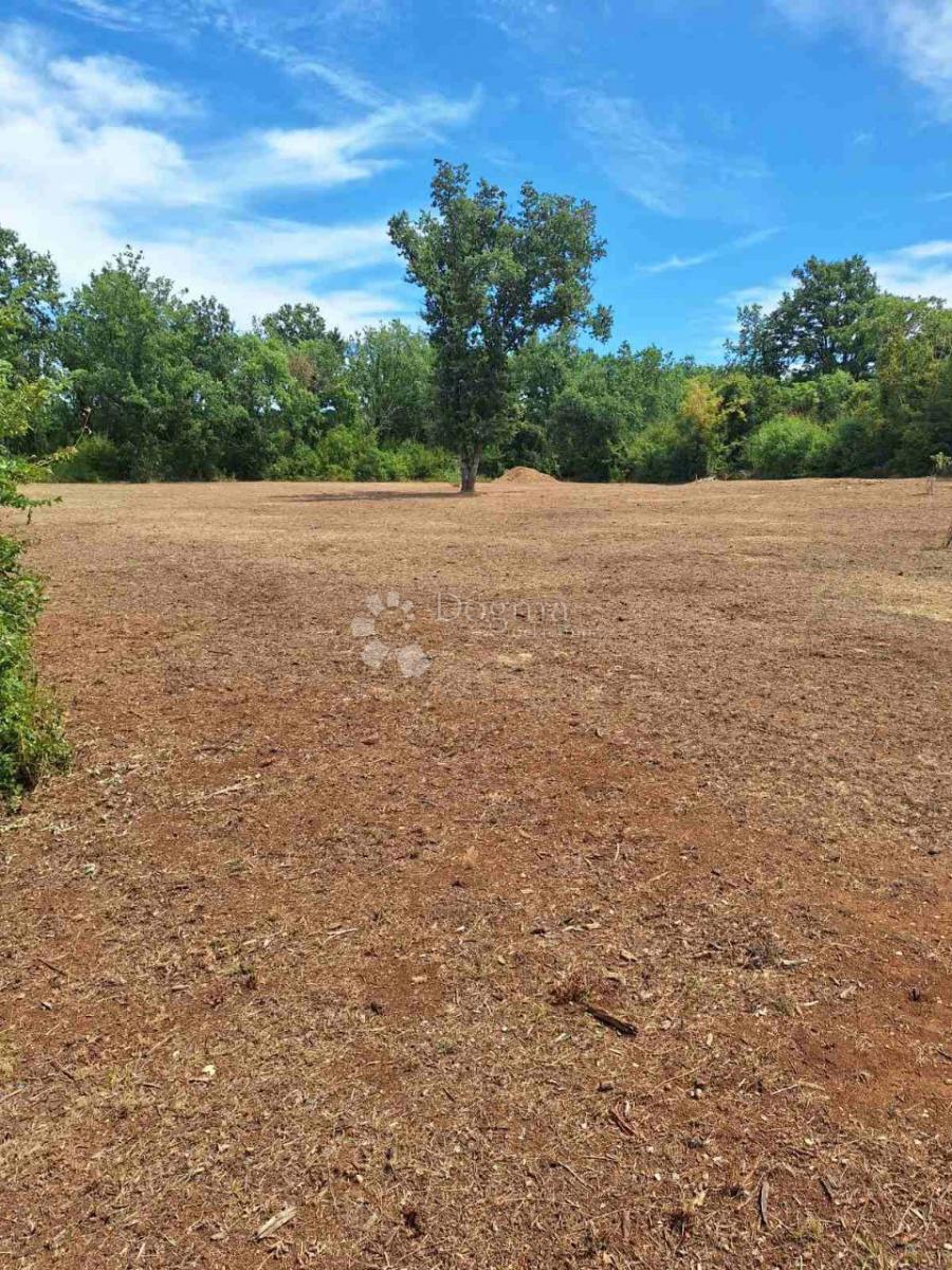 Terreno agricolo Funtana, 2.663m2
