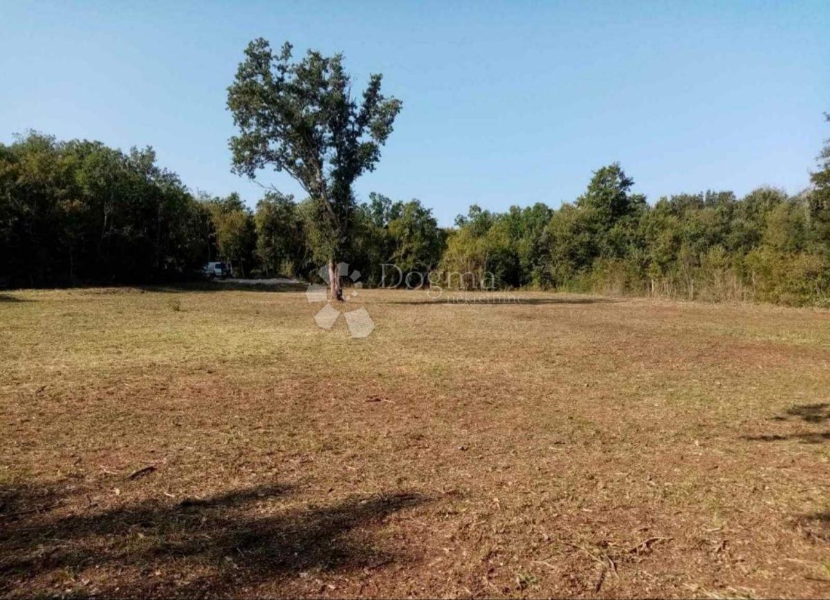 Terreno agricolo Funtana, 2.663m2