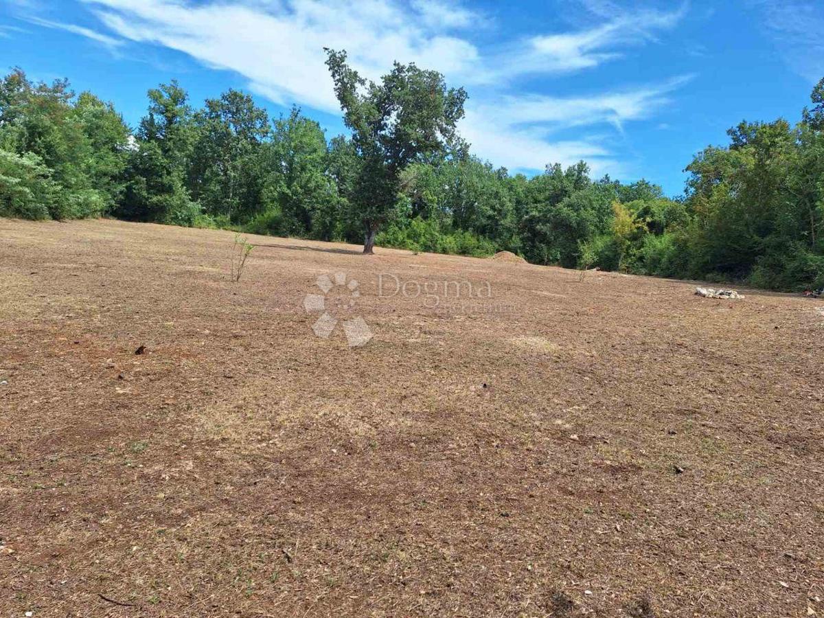 Terreno agricolo Funtana, 2.663m2