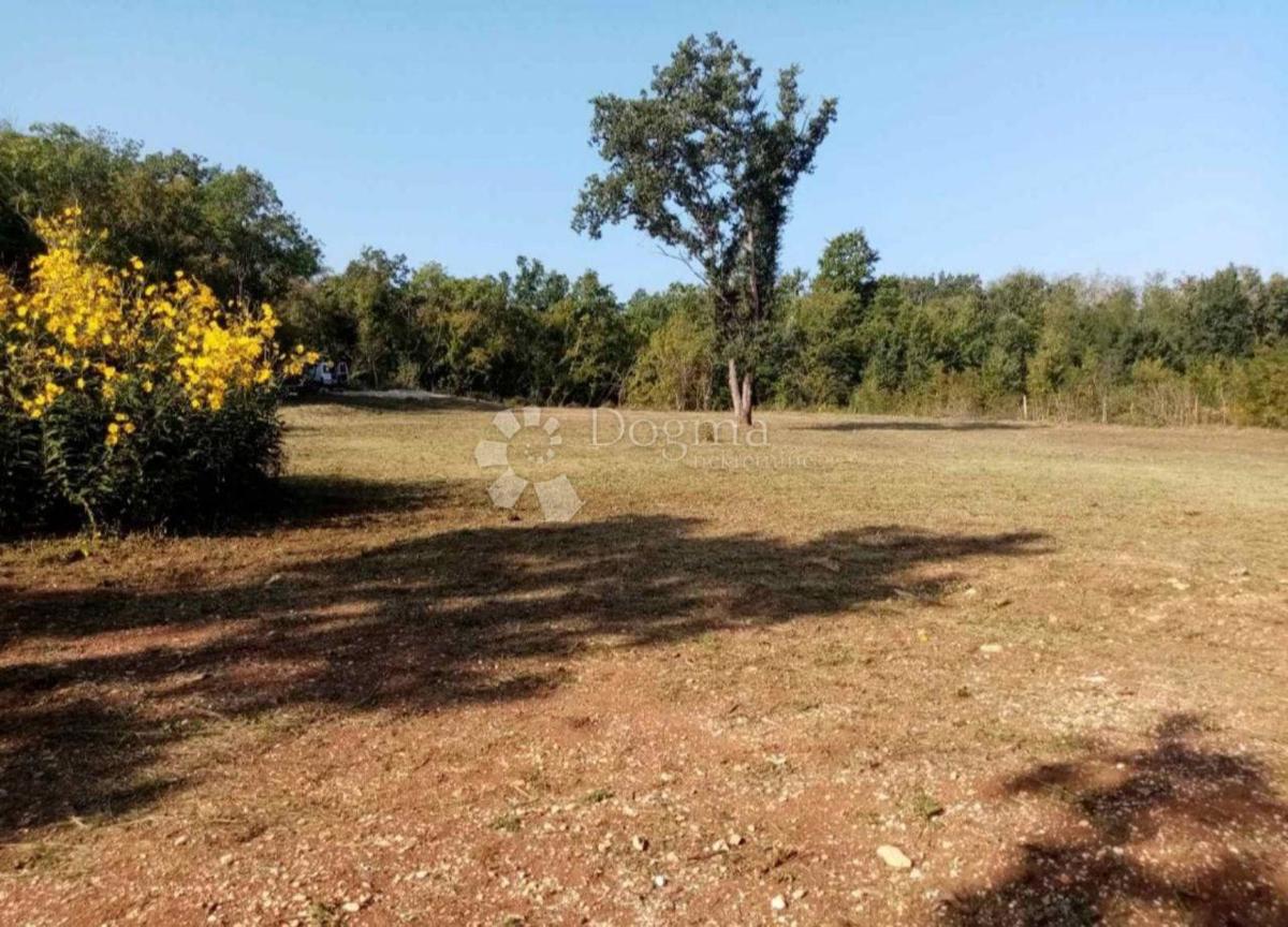 Terreno agricolo Funtana, 2.663m2