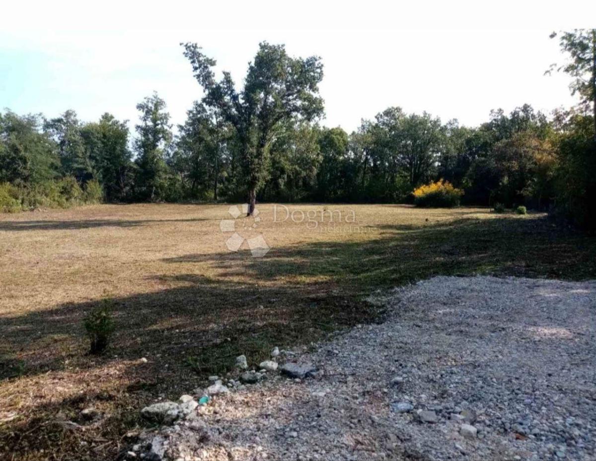 Terreno agricolo Funtana, 2.663m2