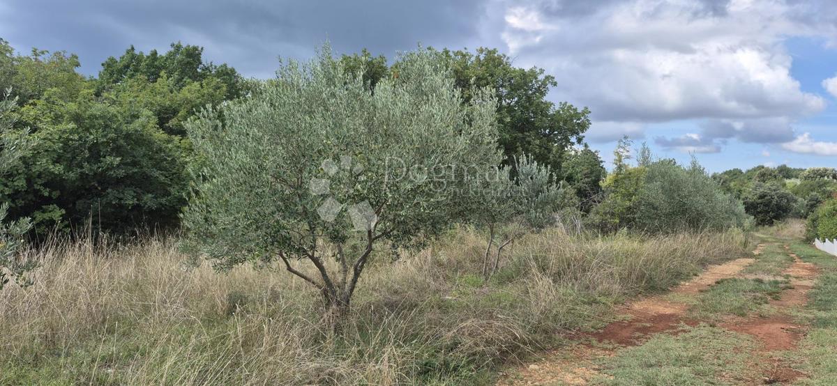 Terreno agricolo Šegotići, Marčana, 1.288m2