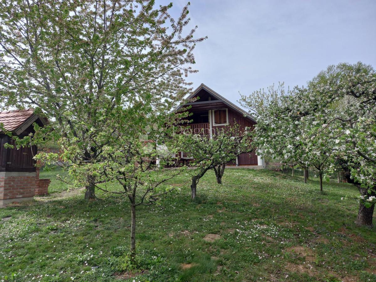 Casa Našice, 60m2