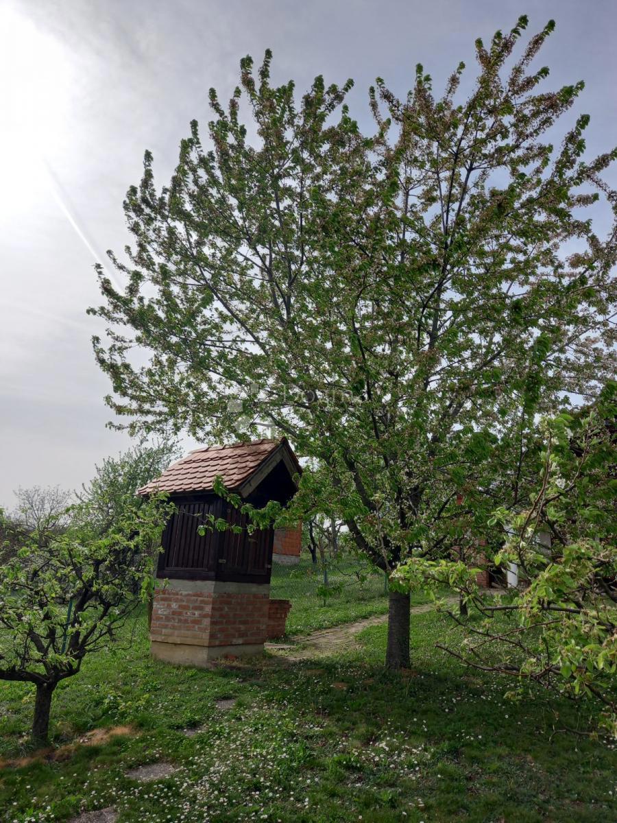Casa Našice, 60m2