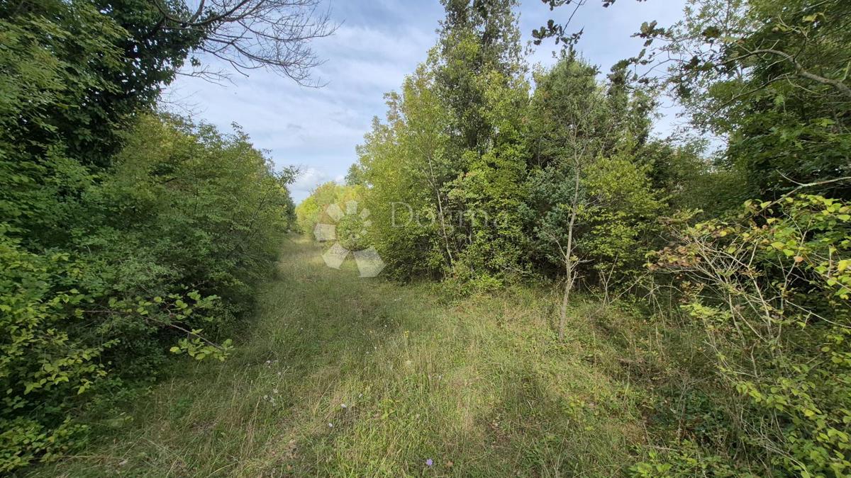 Terreno agricolo 11.980 m2, a 600 m dal mare