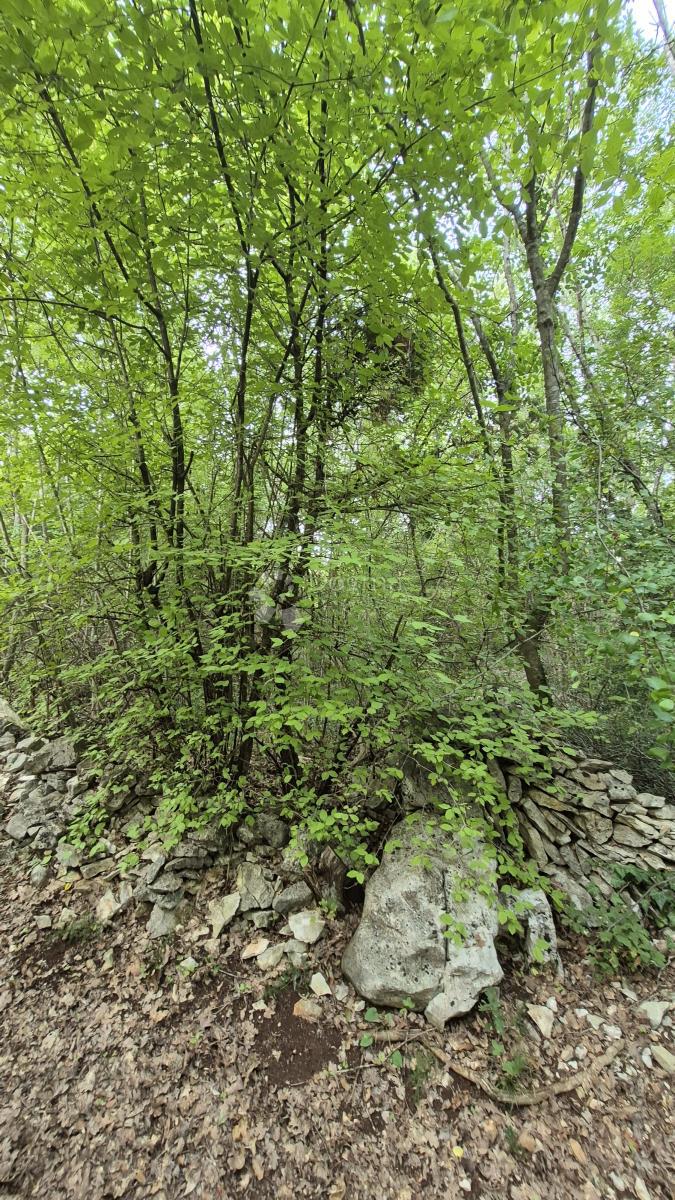 Terreno agricolo 11.980 m2, a 600 m dal mare