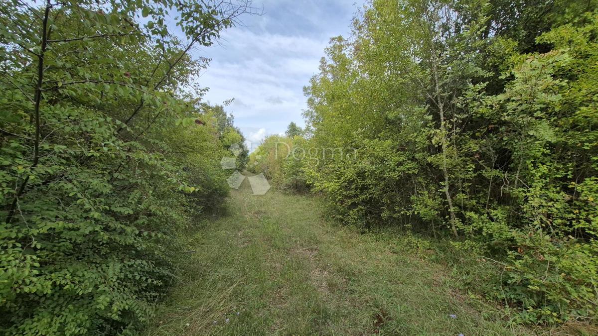 Terreno agricolo 11.980 m2, a 600 m dal mare