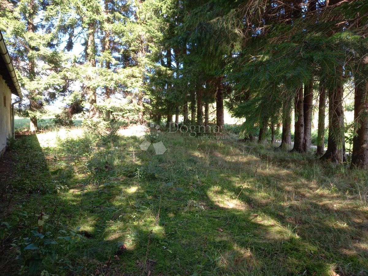 Casa Ravna Gora, 106m2