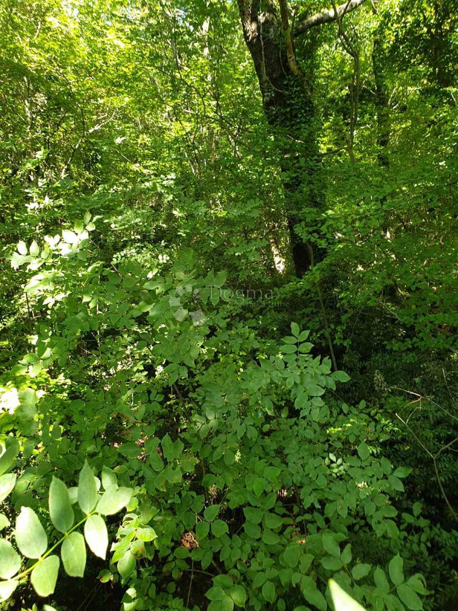 Terreno edificabile Bakarac, Kraljevica, 2.750m2