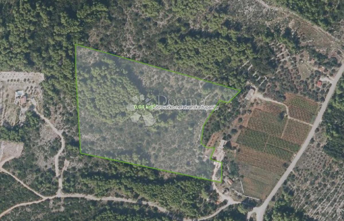 Terreno agricolo Čara, Korčula, 39.823m2