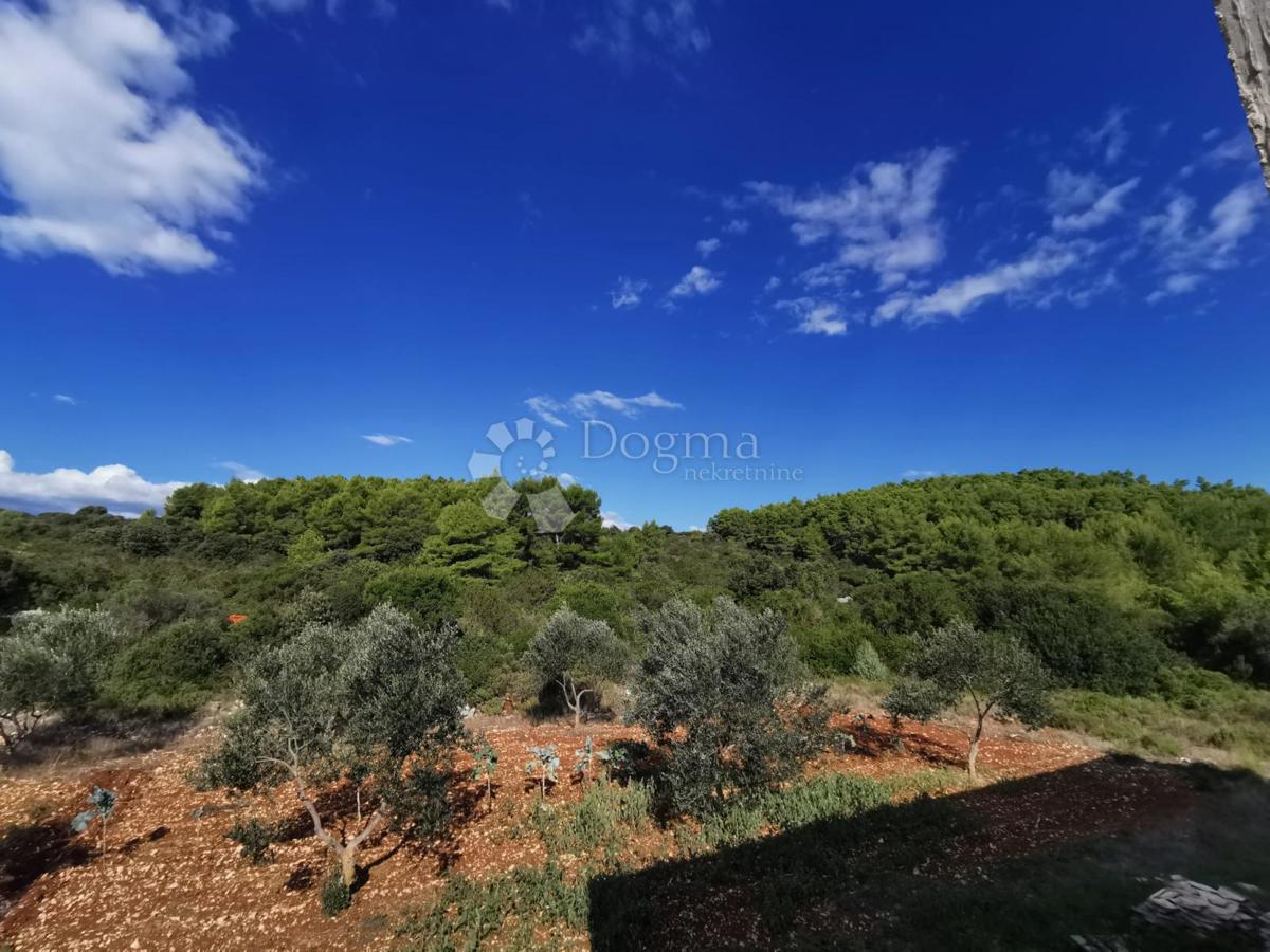 Terreno agricolo Čara, Korčula, 39.823m2