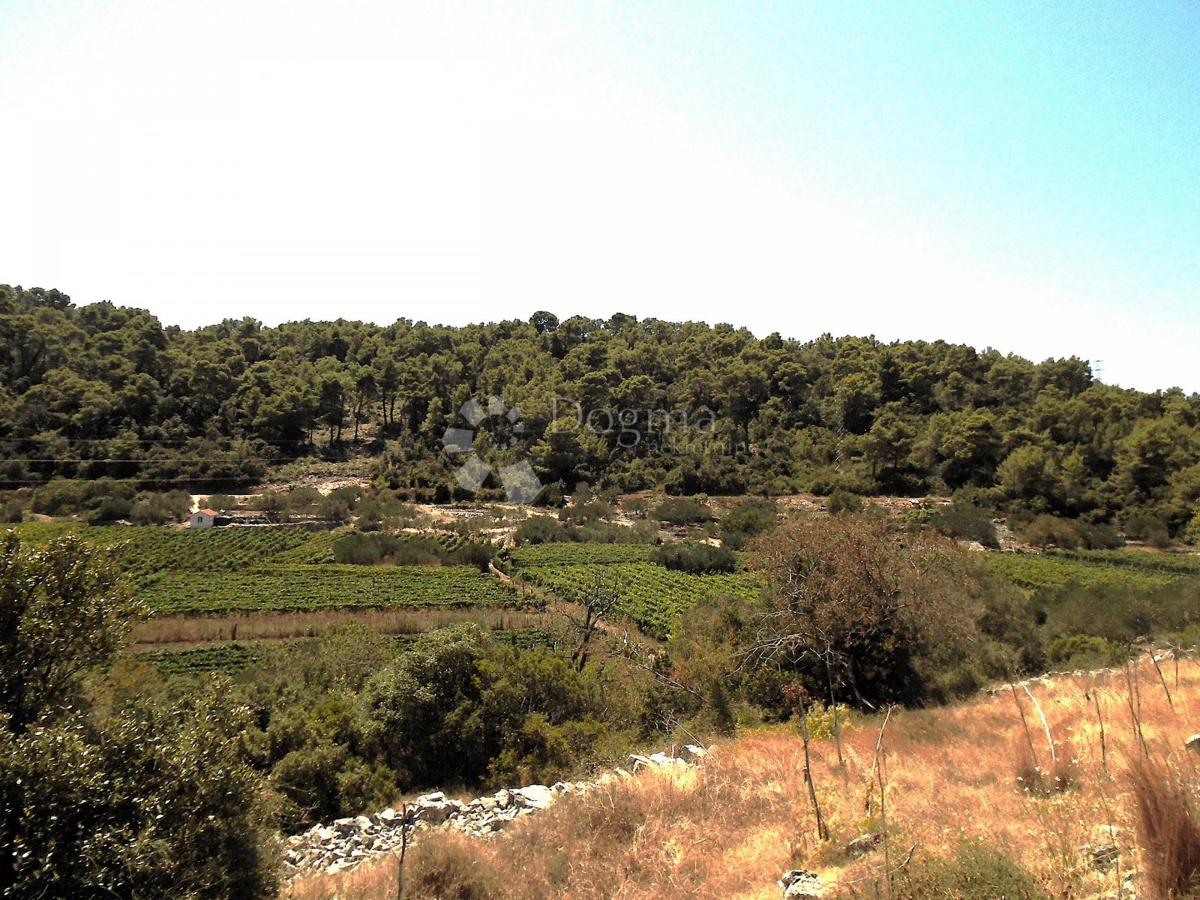 Terreno agricolo Čara, Korčula, 39.823m2