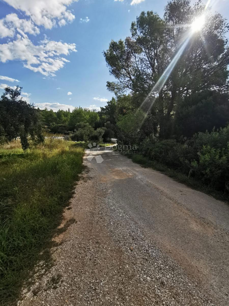 Terreno agricolo Čara, Korčula, 39.823m2