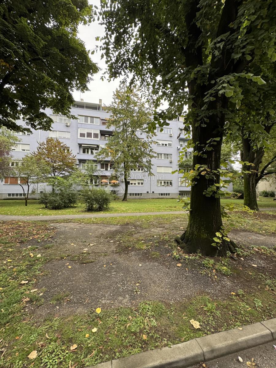 POSIZIONE ECCEZIONALE - OPPORTUNITÀ ECCEZIONALE 