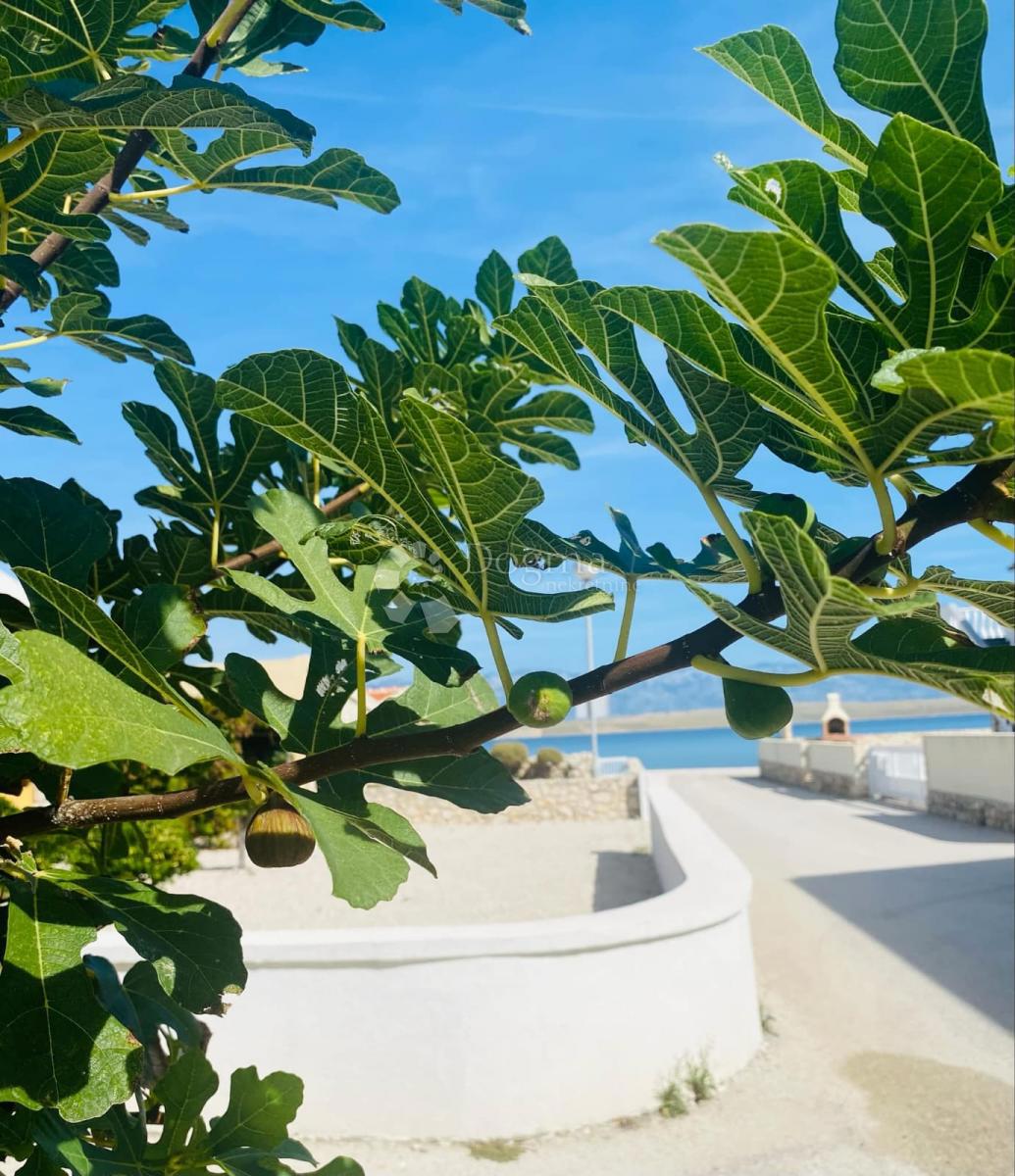 Appartamento Vir, 50m2