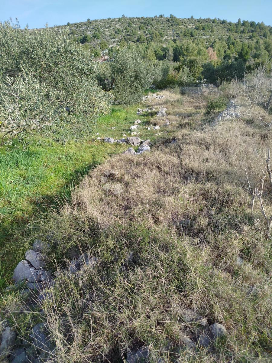 Terreno agricolo Gustirna, Marina, 2.781m2