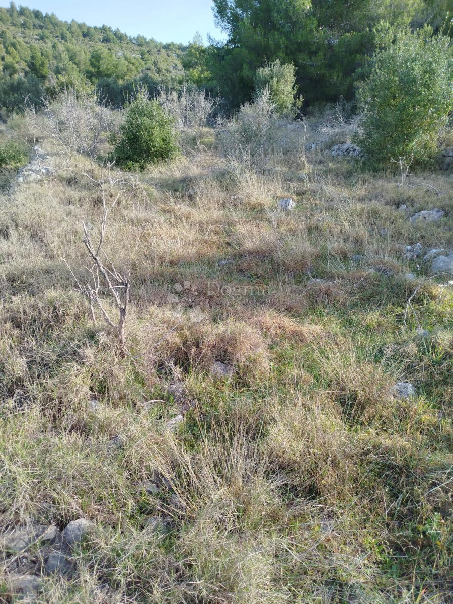 Terreno agricolo Gustirna, Marina, 2.781m2