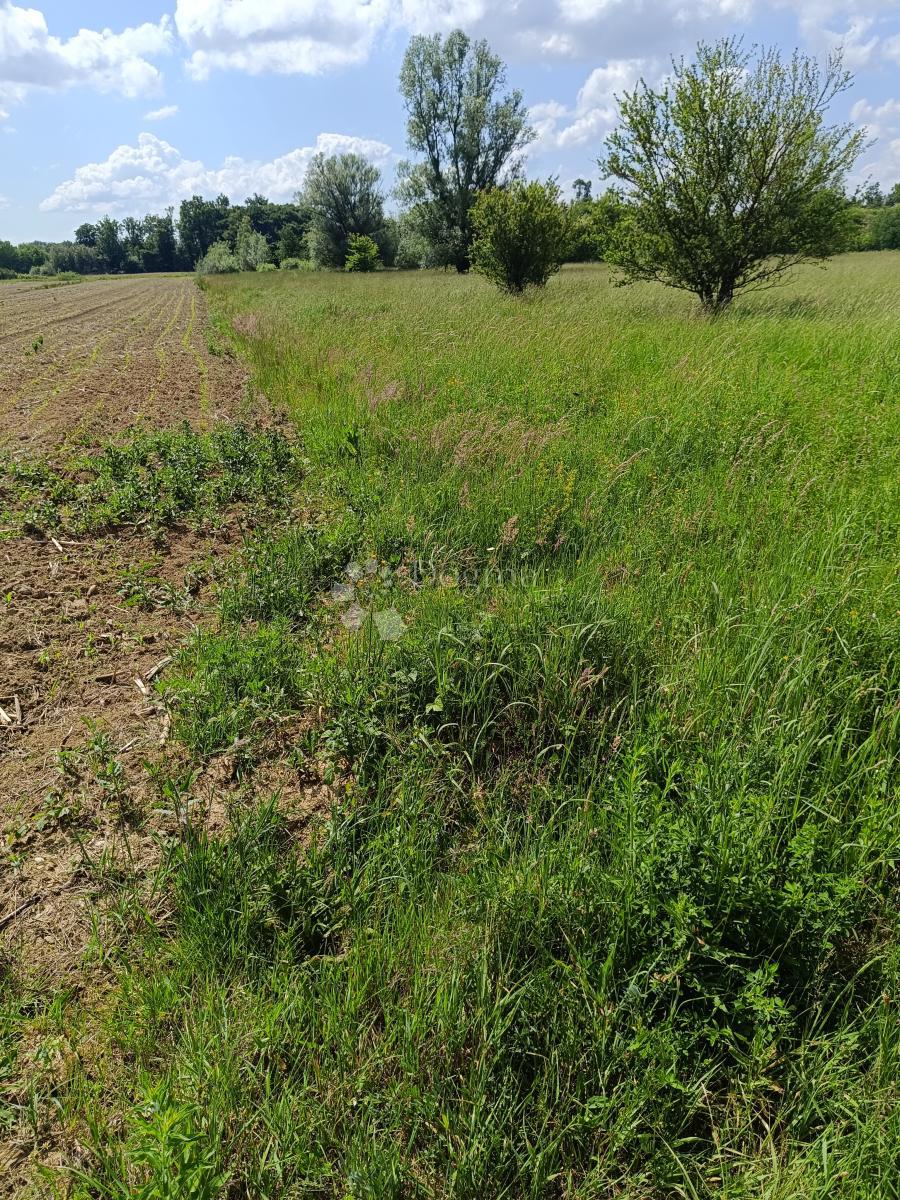 Terreno agricolo Brezovica, 2.400m2