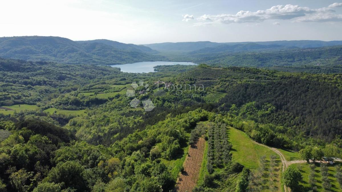 Terreno edificabile Grimalda, Cerovlje, 1.400m2