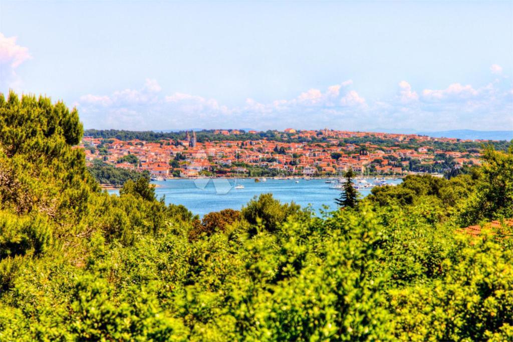 Casa con bellissimo giardino e piscina - 500 m dal mare