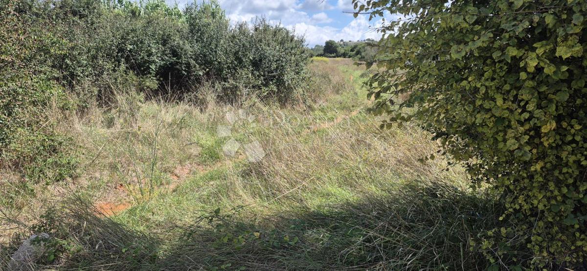 Terreno edificabile Šikići, Pula, 1.862m2