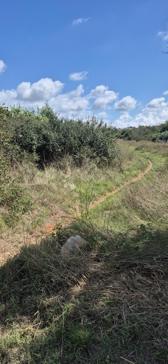 Terreno edificabile Šikići, Pula, 1.862m2