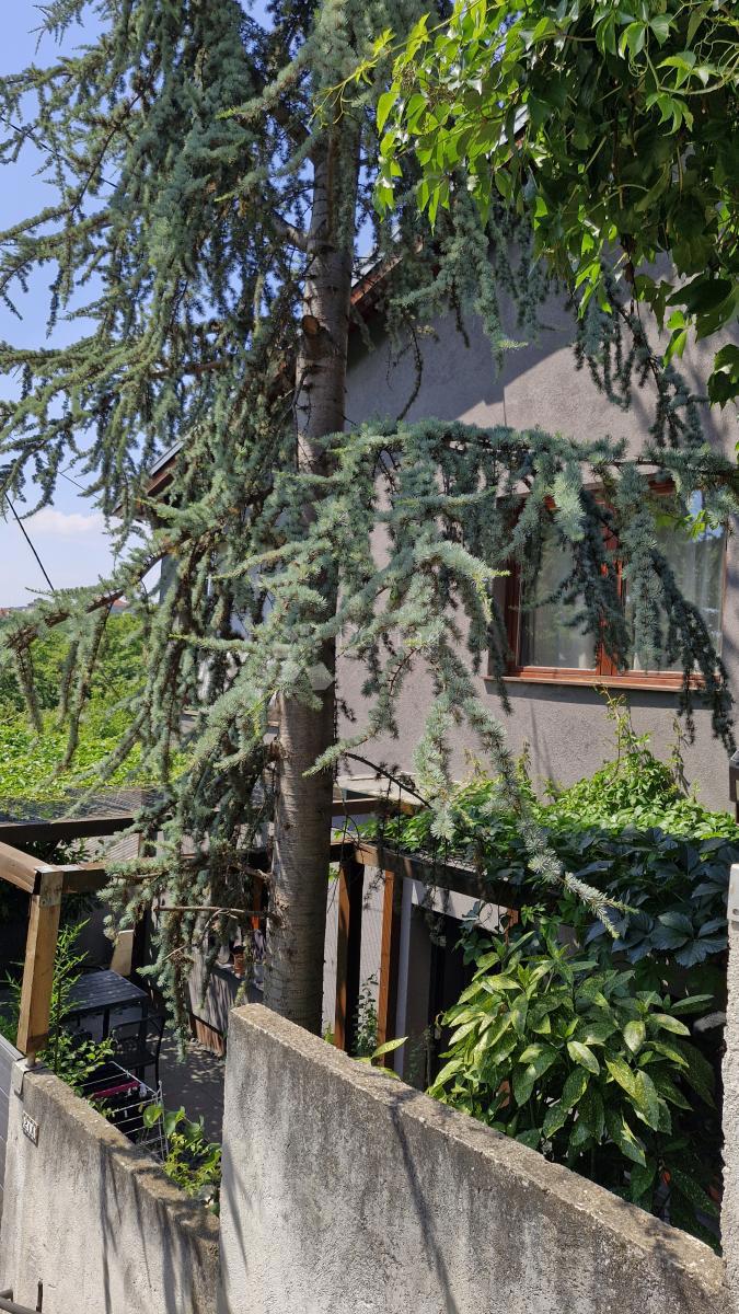 Casa Vrhovec, Črnomerec, 168m2