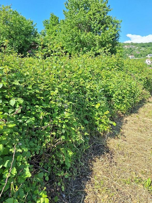 Terreno edificabile Poljane, Opatija - Okolica, 831m2