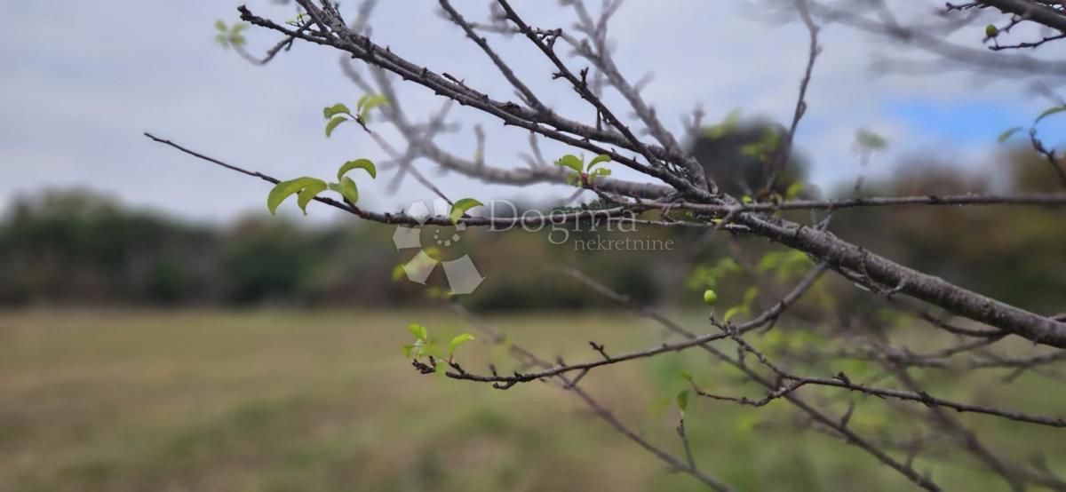 Terreno edificabile Štinjan, Pula, 601m2