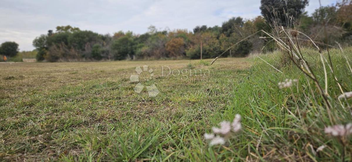 Terreno edificabile Štinjan, Pula, 601m2