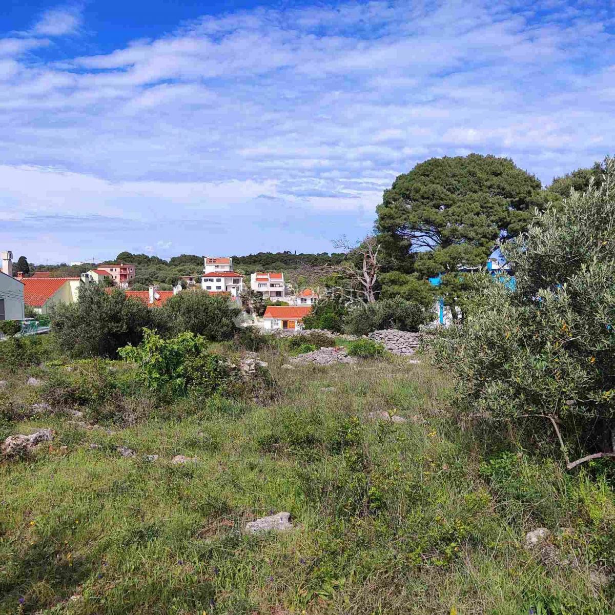 Dugi otok Božava terreno 50 metri dal mare