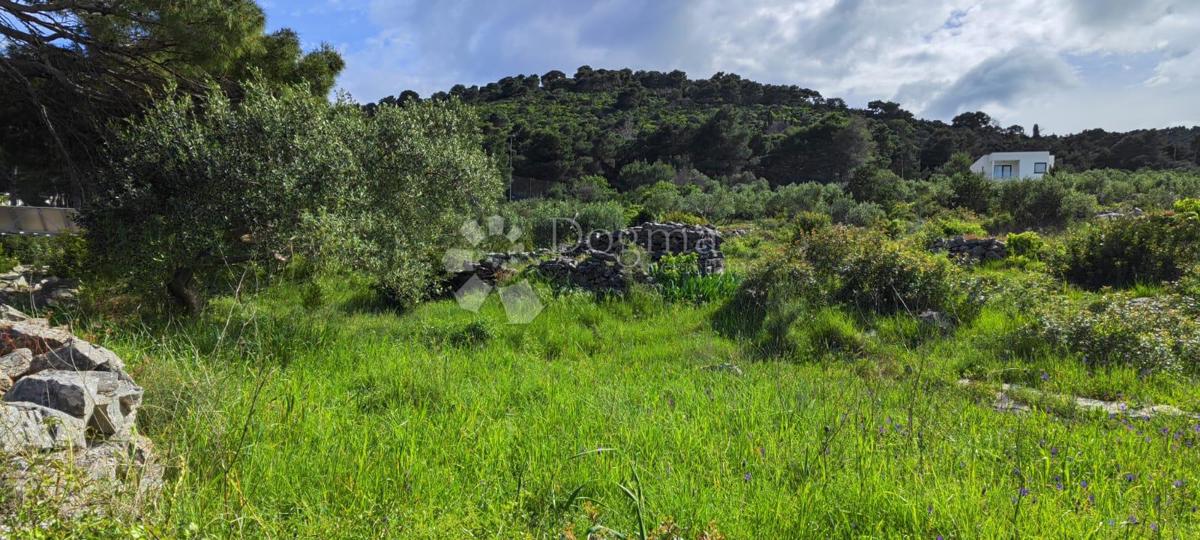 Dugi otok Božava terreno 50 metri dal mare
