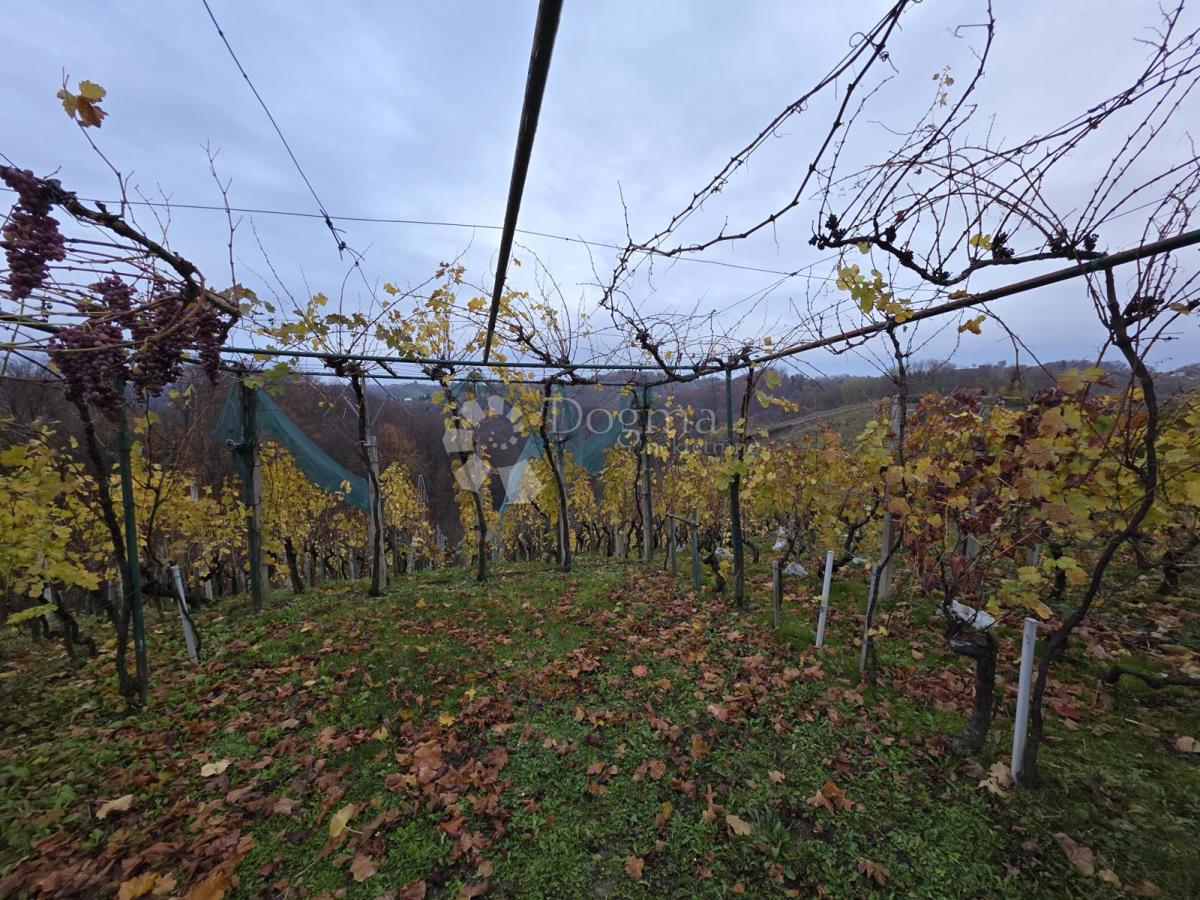 Casa Vinica Breg, Vinica, 85m2