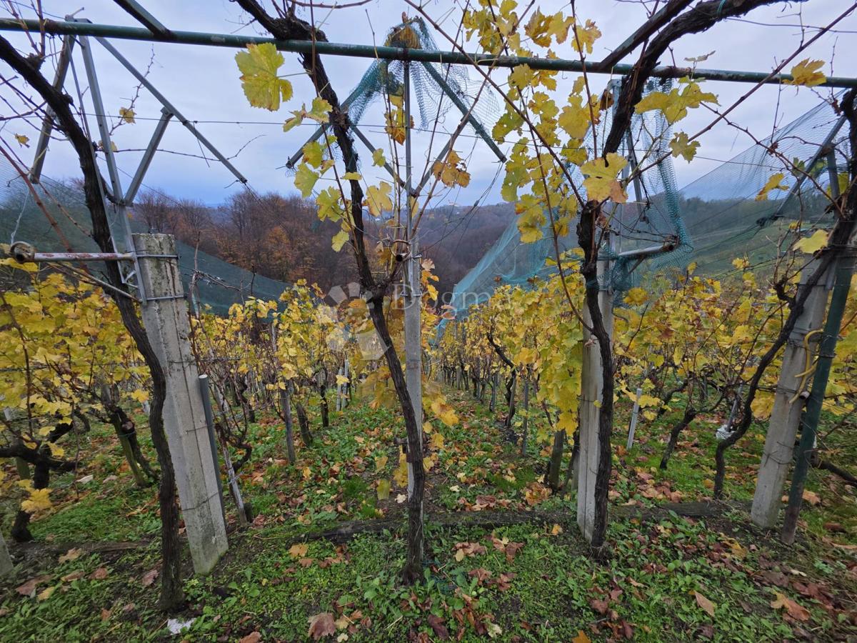 Casa Vinica Breg, Vinica, 85m2