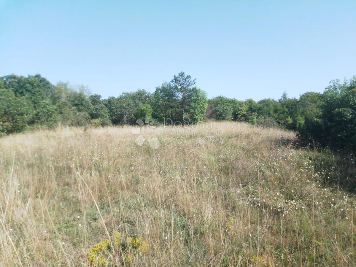 Vendesi terreno di 23.866 m2 (23,87 m2), in parte EDIFICABILE, a Nedešćina (Istria)!!