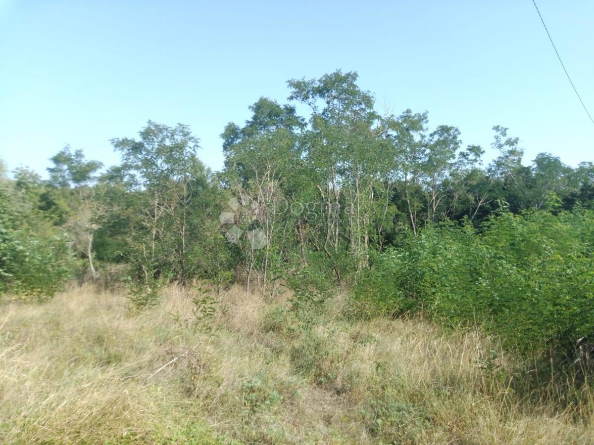 Vendesi terreno di 23.866 m2 (23,87 m2), in parte EDIFICABILE, a Nedešćina (Istria)!!