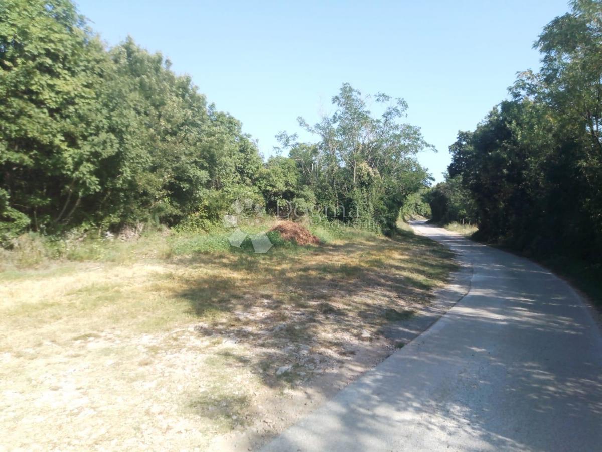 Vendesi terreno di 23.866 m2 (23,87 m2), in parte EDIFICABILE, a Nedešćina (Istria)!!