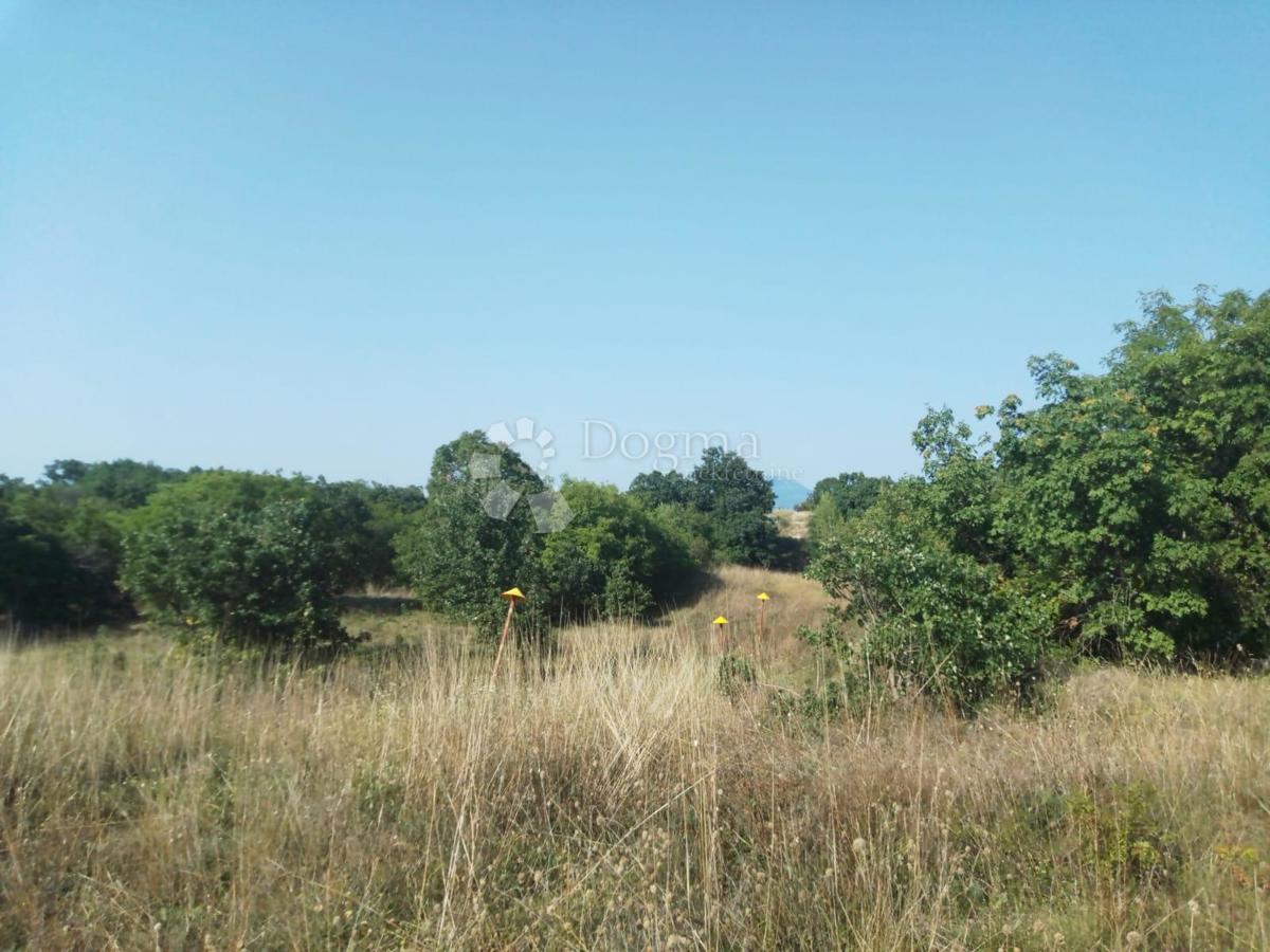Vendesi terreno di 23.866 m2 (23,87 m2), in parte EDIFICABILE, a Nedešćina (Istria)!!