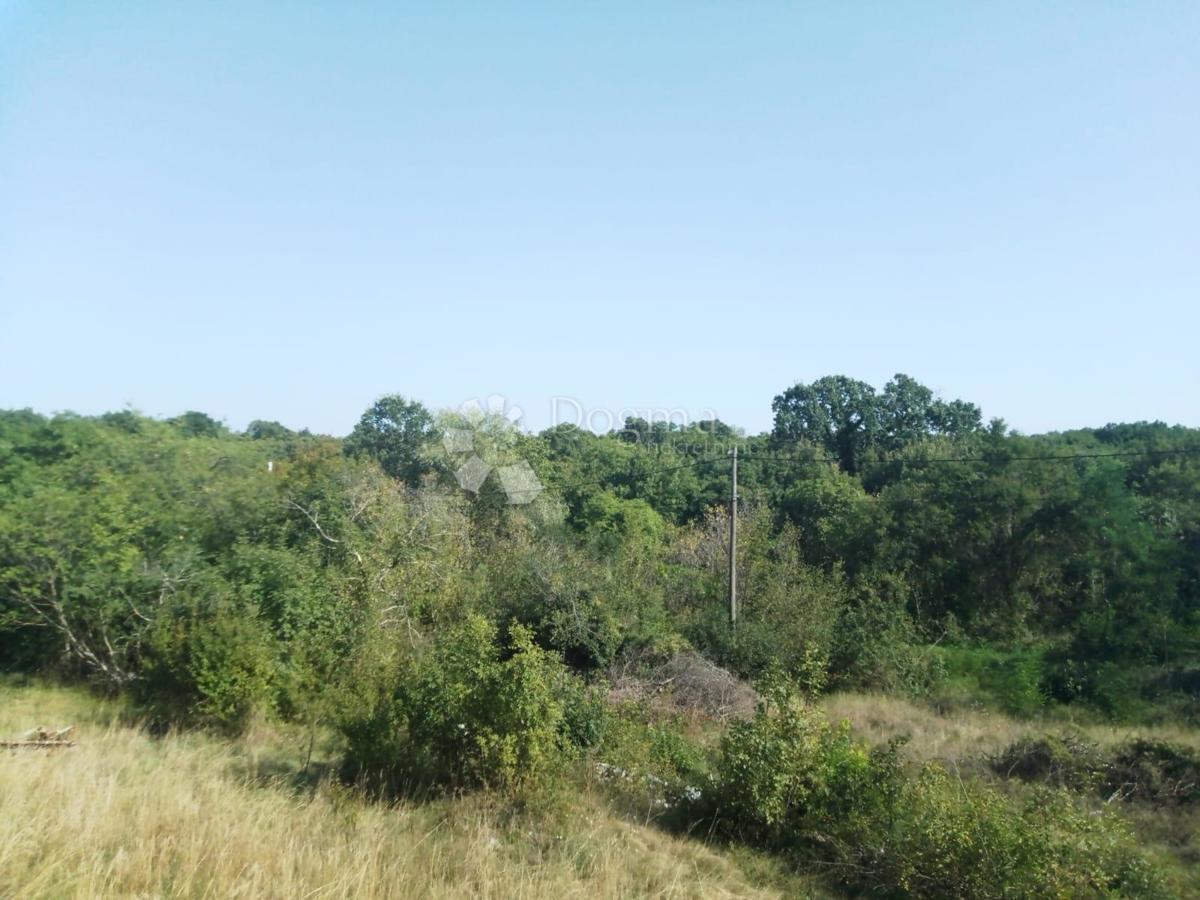 Vendesi terreno di 23.866 m2 (23,87 m2), in parte EDIFICABILE, a Nedešćina (Istria)!!