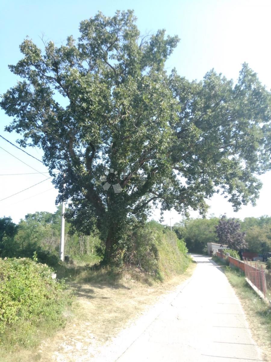 Vendesi terreno di 23.866 m2 (23,87 m2), in parte EDIFICABILE, a Nedešćina (Istria)!!