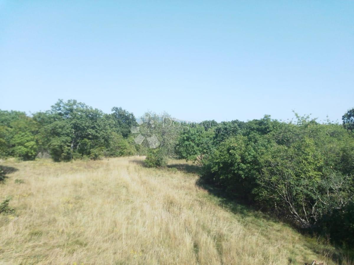 Vendesi terreno di 23.866 m2 (23,87 m2), in parte EDIFICABILE, a Nedešćina (Istria)!!